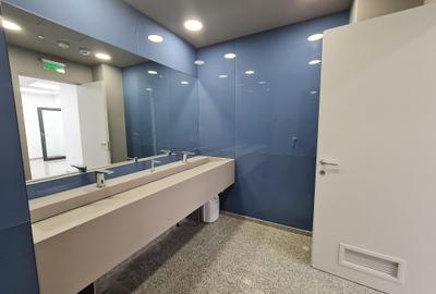 Iuliu Maniu 6 - comision 0%, reprezentam proprietarul! - 13