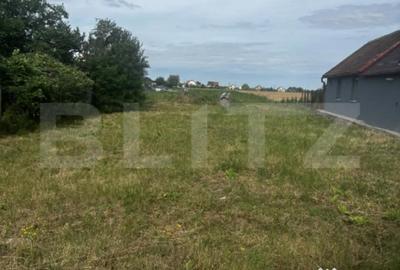 Teren de 1200 mp, în Lucian Blaga