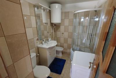 Apartament cu 2 camere decomandat, mobilat în Vest - 11