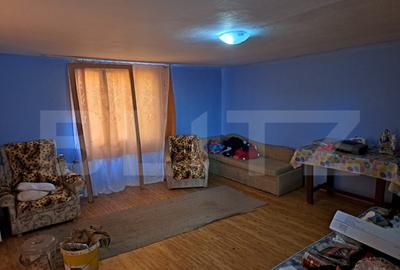 Casa cu o camera, 60 mp, in apropiere de Brad - 3