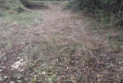 Teren de 1720 mp, în Lupești - 6