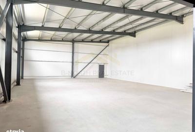 Spațiu industrial, de 500 mp, în Cernica - 4