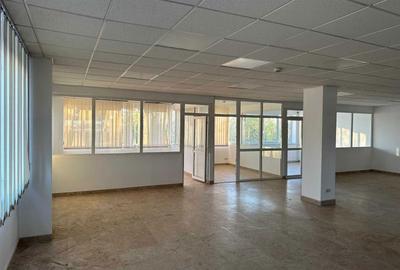 Spațiu comercial, de 360 mp, în Roșu - 8