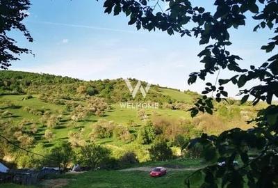 Teren Construcții intravilan de 5129 mp, în Bradu - 3