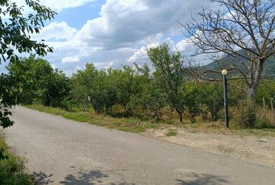 Teren intravilan 1.000 mp loca?ie deosebita, priveli?te ?i lini?te Simleu Silvaniei - 3