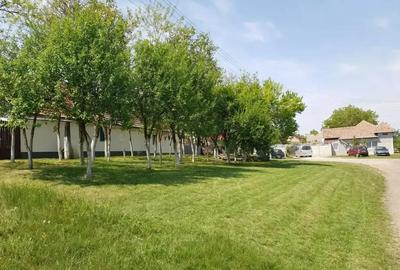 Casă cu 4 camere cu Teren 1600 Mp în Orțișoara - 9
