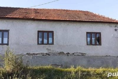 Teren de 2700 mp, în Tăgădău - 3
