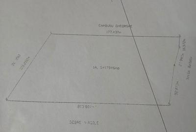 Teren de 18000 mp, în Afumați - 3