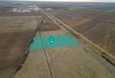 Teren 22.500 mp – Pecica, jud. Arad - 1