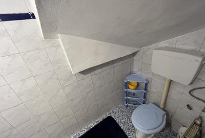 Apartament cu doua camere Calea Lipovei - 7