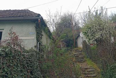 Casă cu Teren 180 Mp în Central - 3