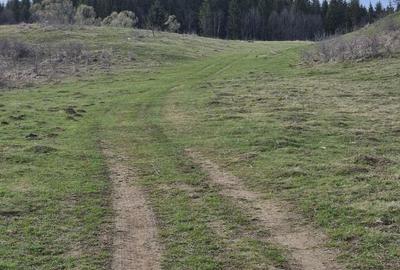 Teren intravilan la baza pădurii Valea Doftanei sat Traisteni (poduri) - 11