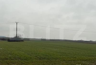 Teren în Central