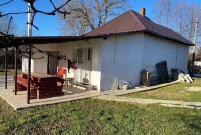 Casă cu Teren 1008 Mp în Coșești - 2