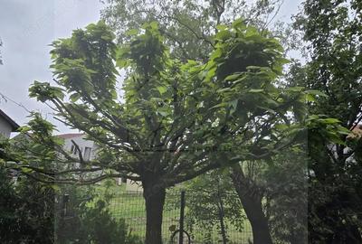 Vila 5 camere LUX Voluntari - Cartier Henri Coanda Vila 5 camere LUX Voluntari - Cartier Henri Coanda - 1