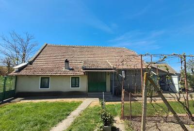 Casă individuală cu 4 camere cu Teren 2676 Mp în Vălcani - 9