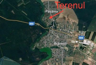 Teren de vanzare in Branesti -Deschidere 20m-Asfalt-Toate utilitatile - 2