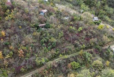 Teren 18,300mp Ghioroc - 8