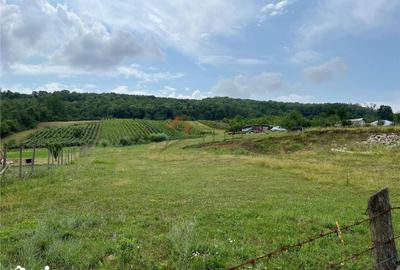 Teren de 3750 mp, în Tomești - 4