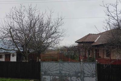 Casă cu 3 camere în Verguleasa - 7