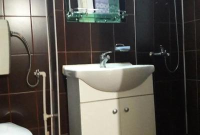 Ap 2 camere etj 3,zona Panaur- Balcescu - 5