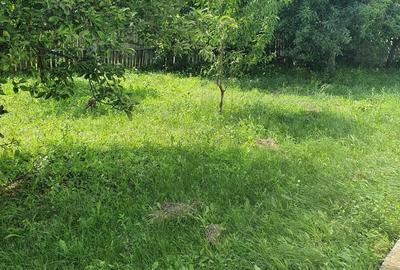 Casă cu 5 camere cu Teren 3000 Mp în Butoiești - 7