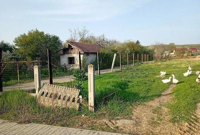 Teren de 1268 mp, în Brădești - 2