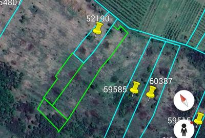 Teren de 6 mp, în Săldăbagiu de Munte - 2
