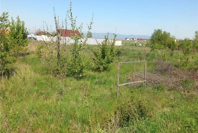 Spațiu comercial, în Sânpetru - 5