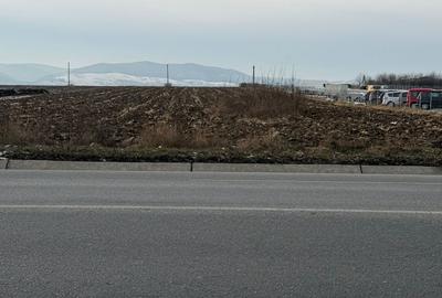 Teren de 10000 mp, în Nicolae Bălcescu - 3