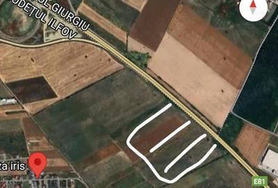 Teren de 12700 mp, în Ciorogârla