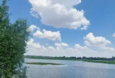 Casă cu 5 camere cu Piscina în Siliștea Snagovului - 1