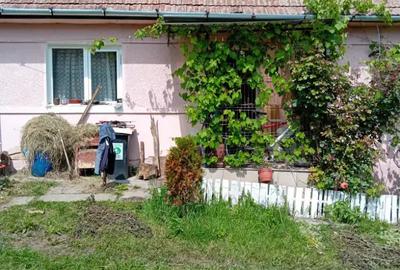 Casa la ?ara...Alba - 6