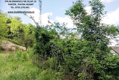 Teren Construcții intravilan de 2000 mp, în Dărmănești - 2