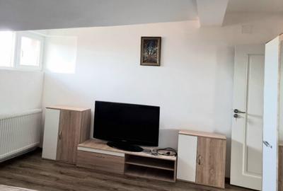 Apartament cu 2 camere semidecomandat în Valea - 3