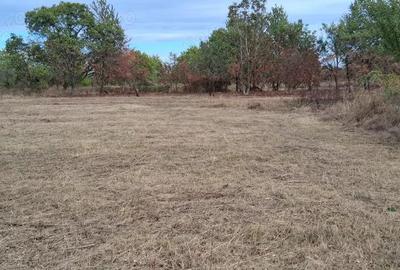 Teren intravilan 836 mp , deschidere 24 ml , zona linistita - 3