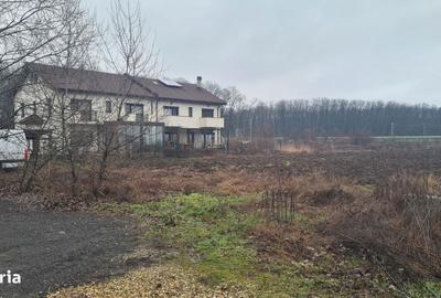 Spațiu comercial, în Corbeanca - 18