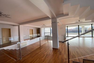 Casă individuală cu 7 camere cu Teren 3000 Mp în Micălaca - 2