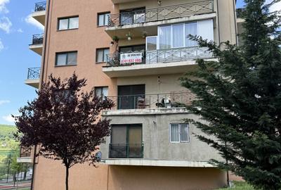Apartament cu 2 camere semidecomandat, mobilat în Chinteni - 10