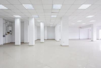 Spațiu comercial, de 250 mp, în Ferdinand - 10