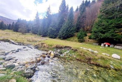 Teren intravilan panoramic 4.600mp,view iconic Piatra Craiul - 8