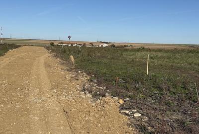 Spațiu comercial, în Păușa - 6