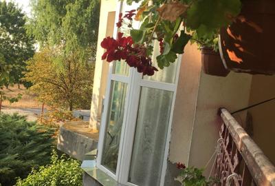 Teren intravilan de 490000 mp, în Iancu Jianu - 11