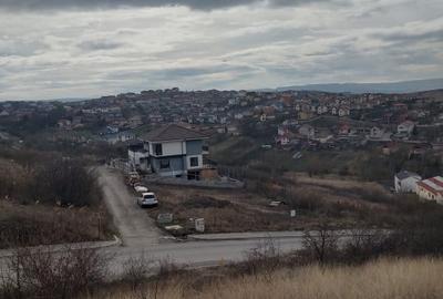Teren intravilan 479mp in Dezmir - 16