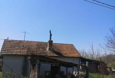 Casă cu 2 camere în Pini - 1