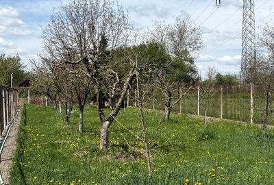Casă individuală cu 6 camere cu Canalizare în Valea Voievozilor - 3