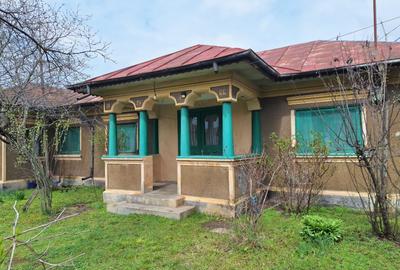 Casă individuală cu 5 camere cu Teren 3400 Mp în Central - 1