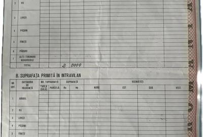 Teren de 20000 mp, în Topolog - 1