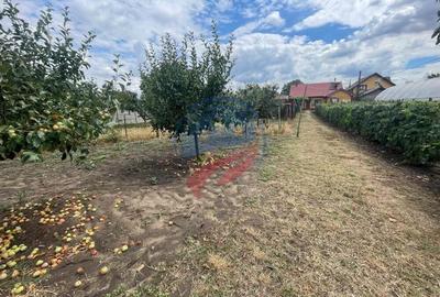 Casa in localitatea Zanoaga- Dolj - 4