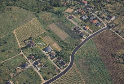 Teren intravilan de 1000 mp, în Bucium - 1